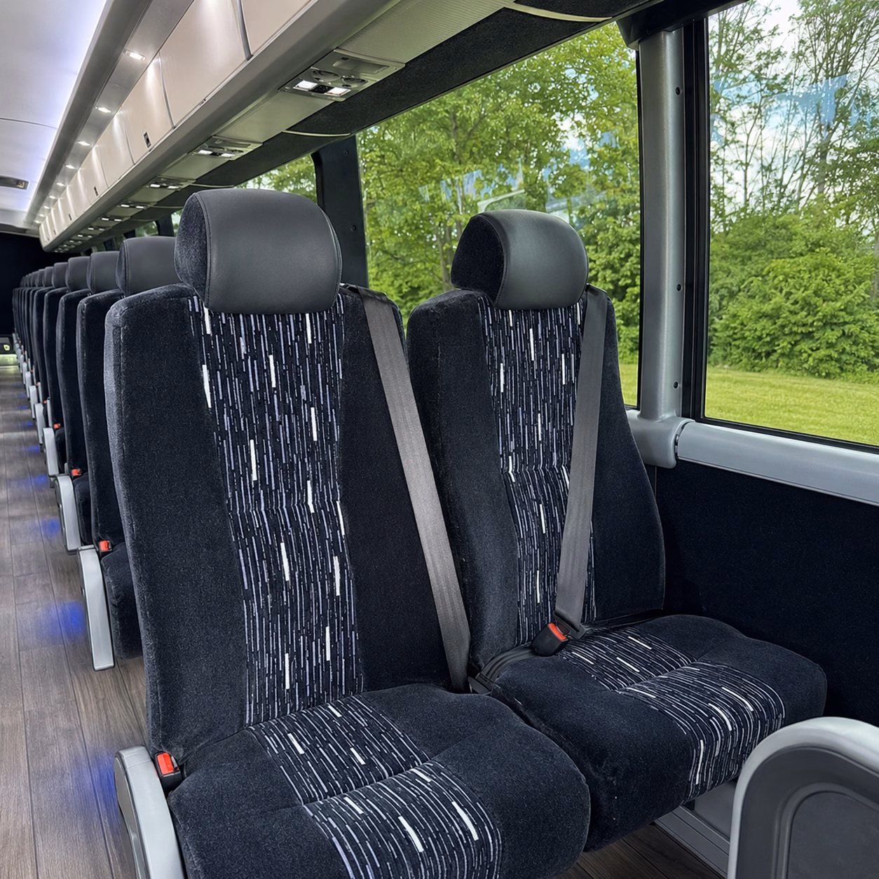 compare group transportation in meridian in one search